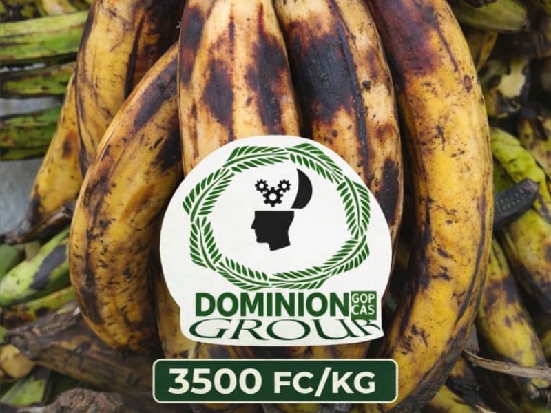 Bananes plantains